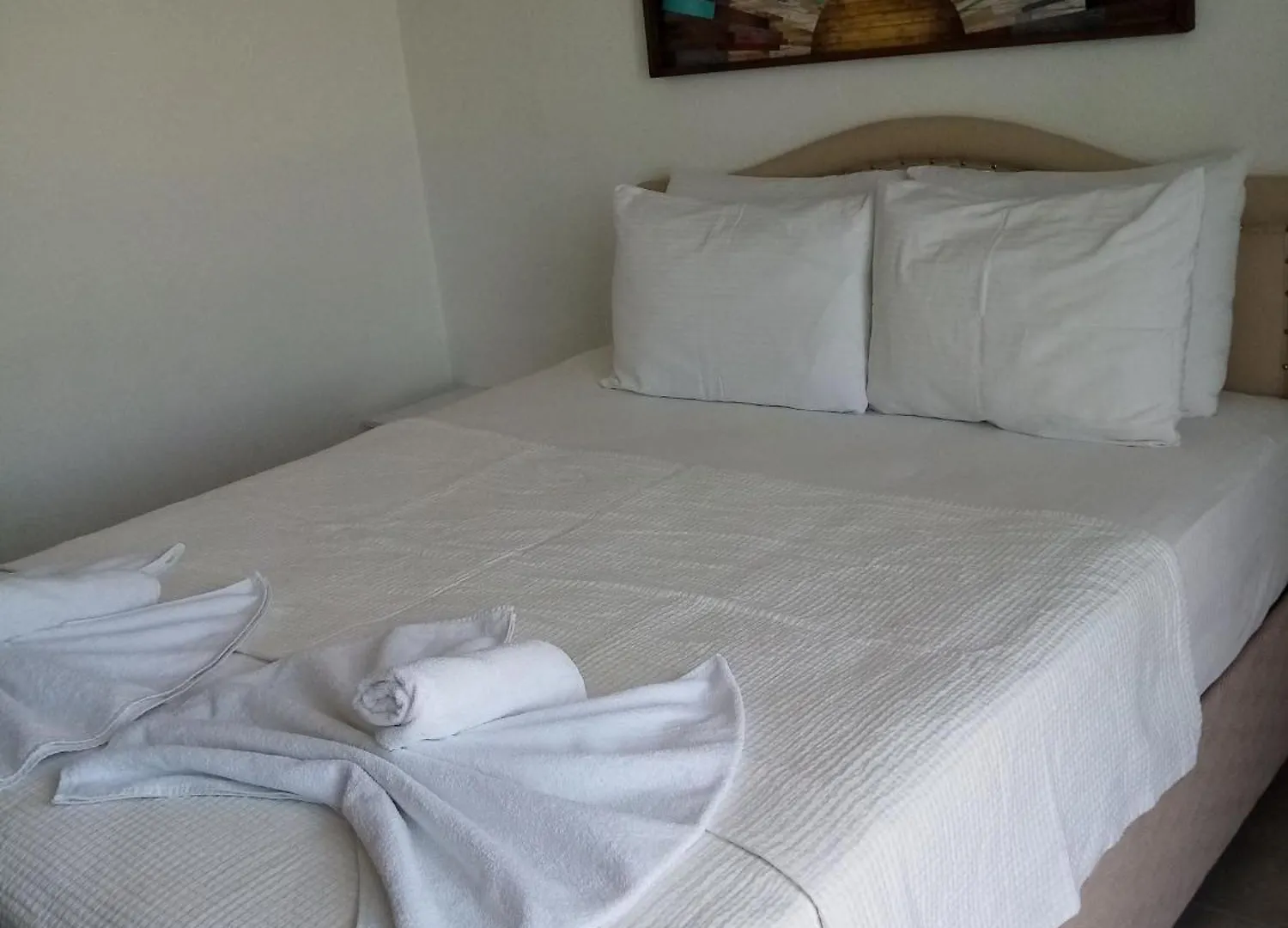 Datca Zeytinevleri Apart Apartment